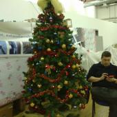 L'albero di Natale + collega